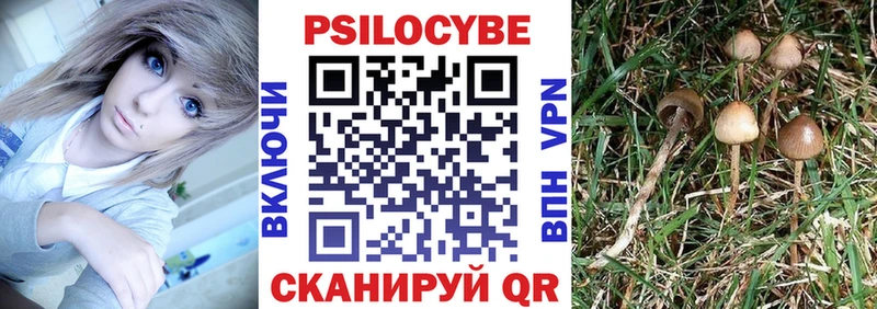 даркнет сайт  ОМГ ОМГ зеркало  Галлюциногенные грибы Magic Shrooms  Липецк 